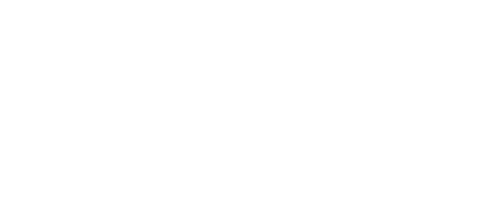 Critical Insights Ltd